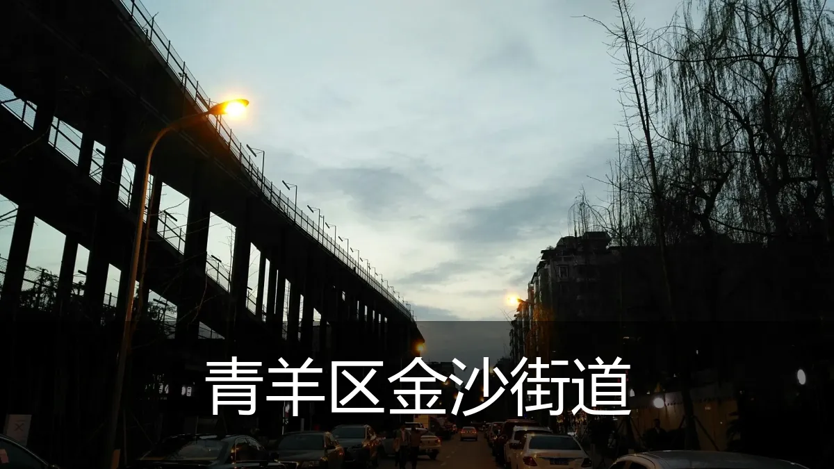 青羊区金沙街道